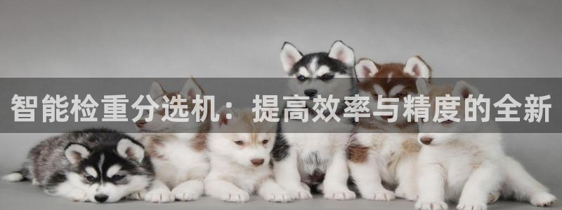 威九国际精彩视频2022年