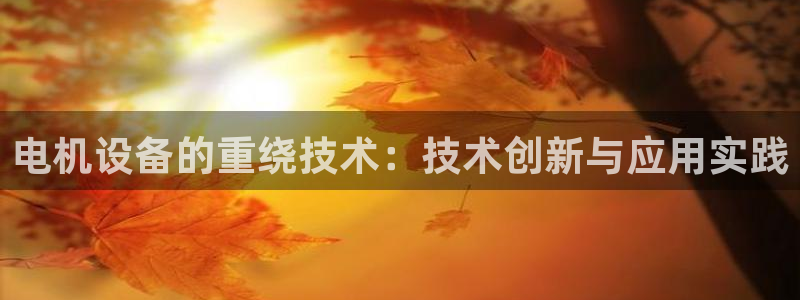 保定威九网络科技有限公司怎么样