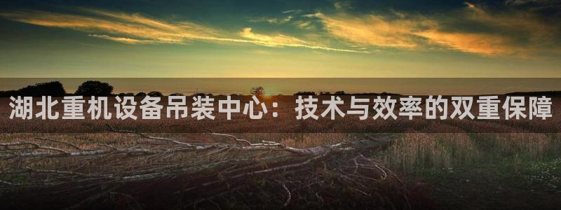 威九国际网站入口官网免费下载