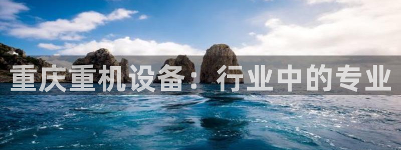 78mppt威九国际：重庆重机设备：行业中的专业