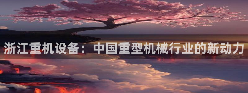 威九国际客服电话号码查询：浙江重机设备：中国重型机械行业的新