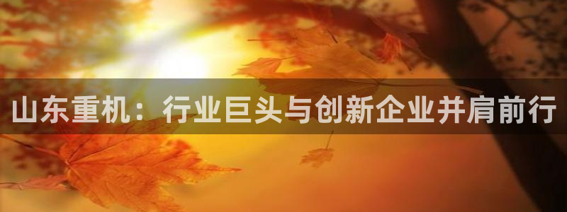 威九国际精修! #手机使用技巧：山东重机：行业巨头与创新企业