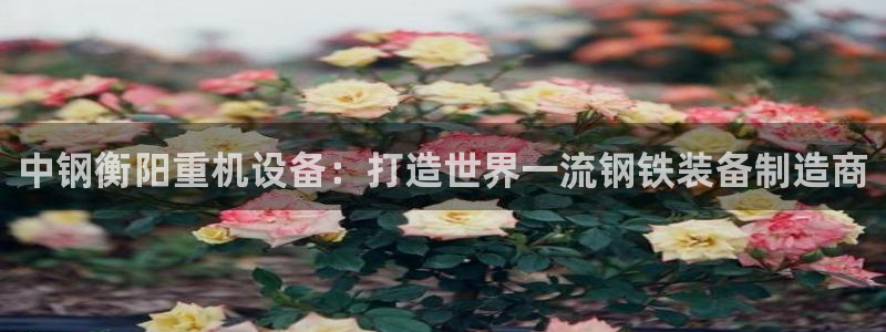 威九国际官方网站最新版本更新内容介绍
