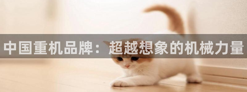 威九国际集团66m一6在线