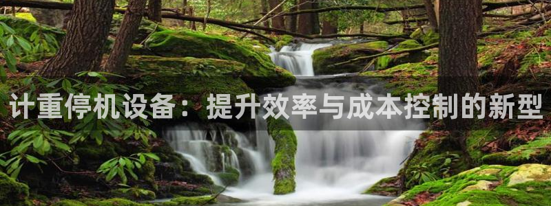 威九国际在线平台怎么样啊