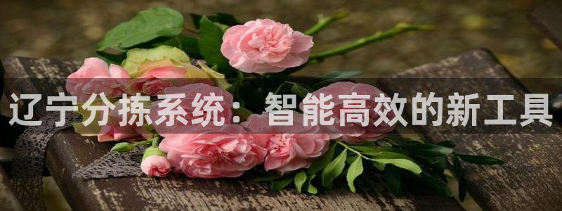 威九国际精修! #手机使用技巧：辽宁分拣系统：智能高效的新工