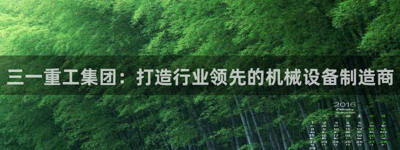 威九国际替好友去：三一重工集团：打造行业领先的机械设备制造商
