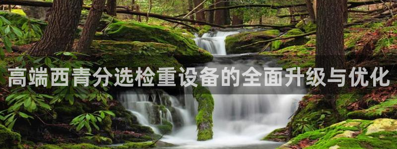 威九国际fX8x：高端西青分选检重设备的全面升级与优化