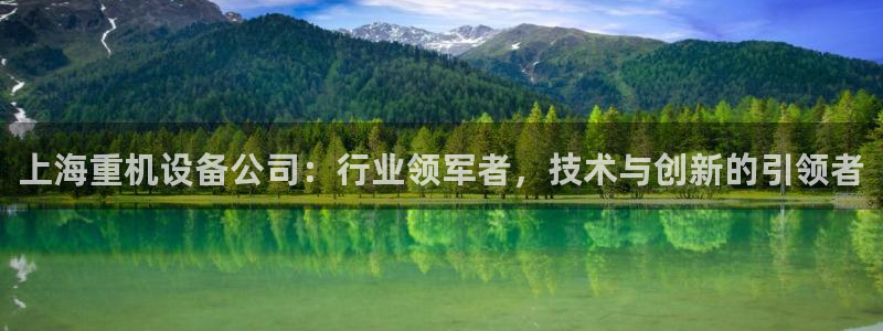 威九国际女明星：上海重机设备公司：行业领军者，技术与创新的引