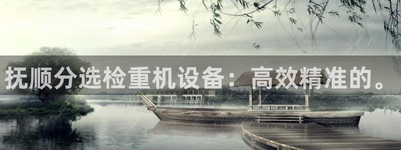 威九国际空降服务女演员名字：抚顺分选检重机设备：高效精准的。