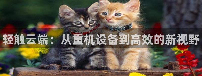 威九国际合作伙伴有哪些：轻触云端：从重机设备到高效的新视野