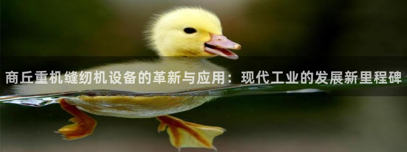 威九国际78mB：商丘重机缝纫机设备的革新与应用：现代工业的