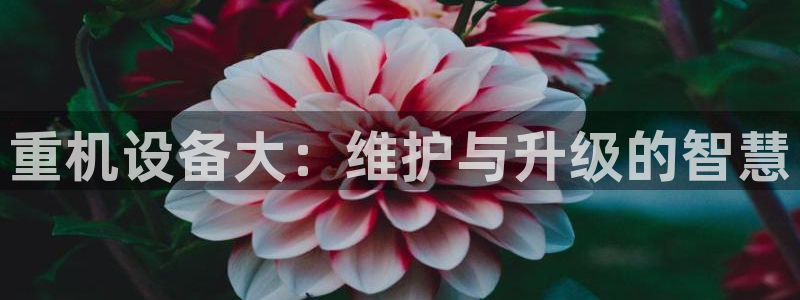 威九国际发布新版eBzxin2Tp：重机设备大：维护与升级的