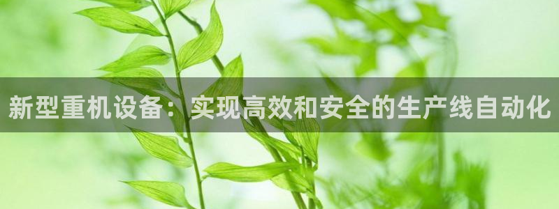 保定威九网络科技有限公司：新型重机设备：实现高效和安全的生产