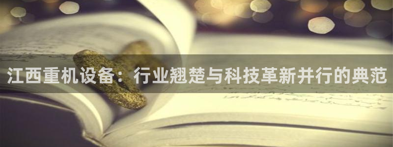 威九国际女：江西重机设备：行业翘楚与科技革新并行的典范