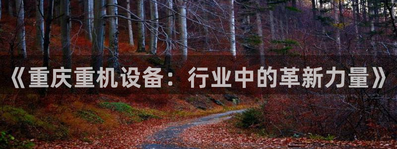 保定威九网络科技有限公司是干嘛的：《重庆重机设备：行业中的革