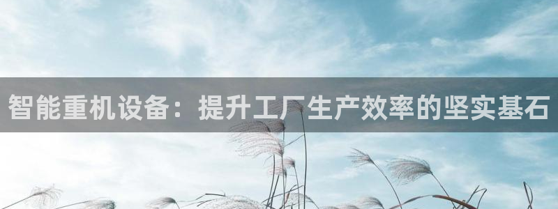 威九国际66m：智能重机设备：提升工厂生产效率的坚实基石