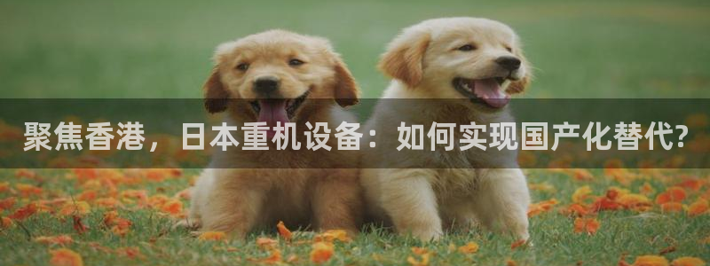 威九国际网站入口官网首页登录：聚焦香港，日本重机设备：如何实