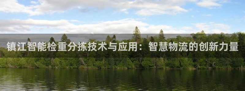 威九国际地址：镇江智能检重分拣技术与应用：智慧物流的创新力量