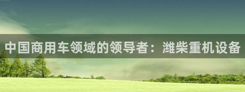 威九国际网站怎么样知乎：中国商用车领域的领导者：潍柴重机设备