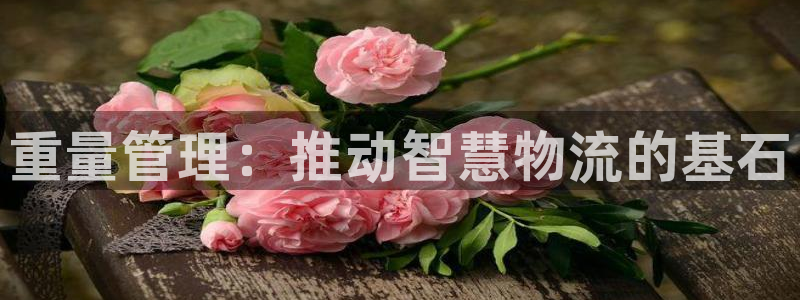 威九国际78mob网页：重量管理：推动智慧物流的基石