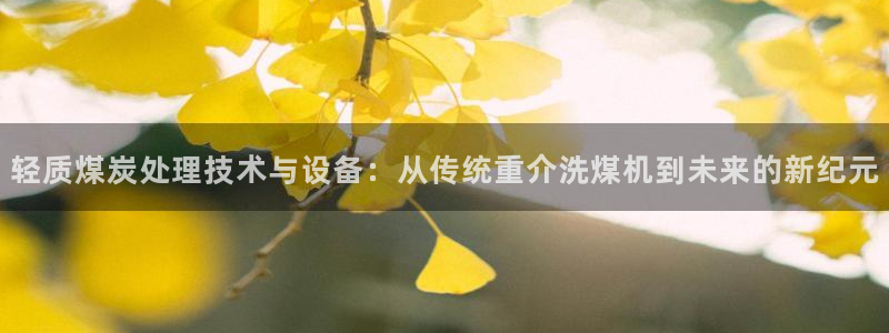 威九国际78mB：轻质煤炭处理技术与设备：从传统重介洗煤机到