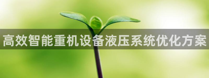 威九国际网站游戏：高效智能重机设备液压系统优化方案