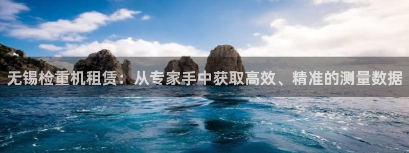 威九国际网站入口官网游戏推荐：无锡检重机租赁：从专家手中获取